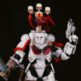 CTC 433 White Scars Helmet