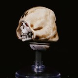 CTC 448 Black Templars Helmet