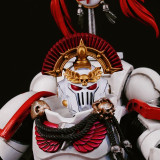 CTC 432 White Scars Helmet