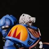CTC 460 Helmet for Space Wolves