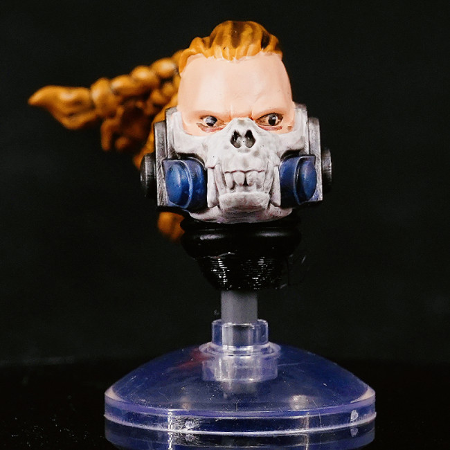 CTC 459 Head Sculpture for Space Wolves