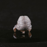 CTC 480 Head Sculpture for Blood Angels Commander Dante