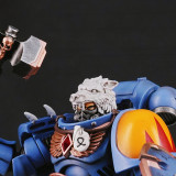CTC 479 Helmet for Space Wolves