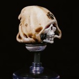 CTC 448 Black Templars Helmet