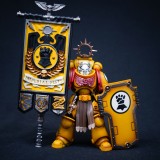 CTC 631 Imperial Fists Banner