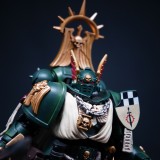 CTC Dark Angels Helmets