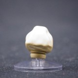 CTC Dark Angels Helmets with hood