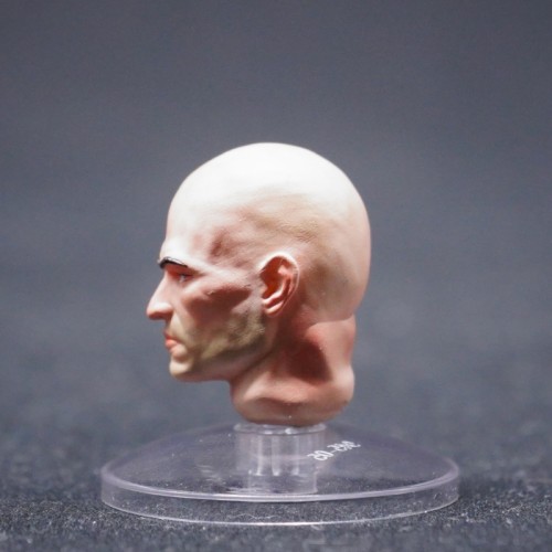 CTC 4119 Head Sculpture for Alpha Legion Alpharius Primarch of the XXth Legion