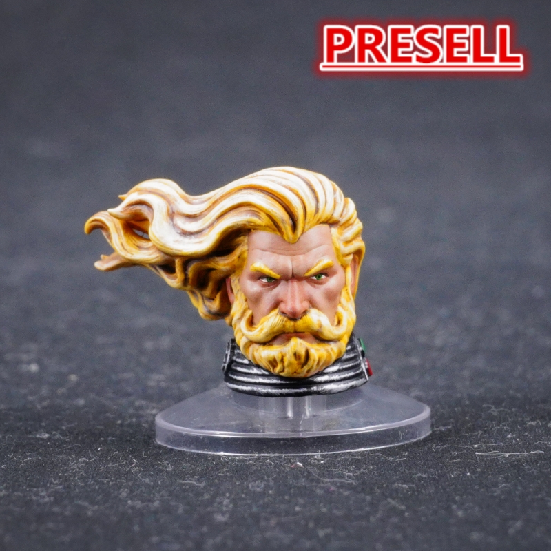WAT 4159 Head Sculpture for Dark Angels Primarch Lion El'Jonson