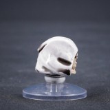 CTC Black Templars Helmets