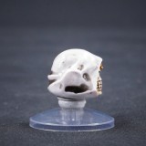 CTC Black Templars Helmets