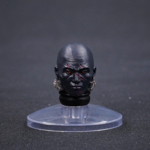 CTC 4214 Head Sculpture for Salamanders Figures
