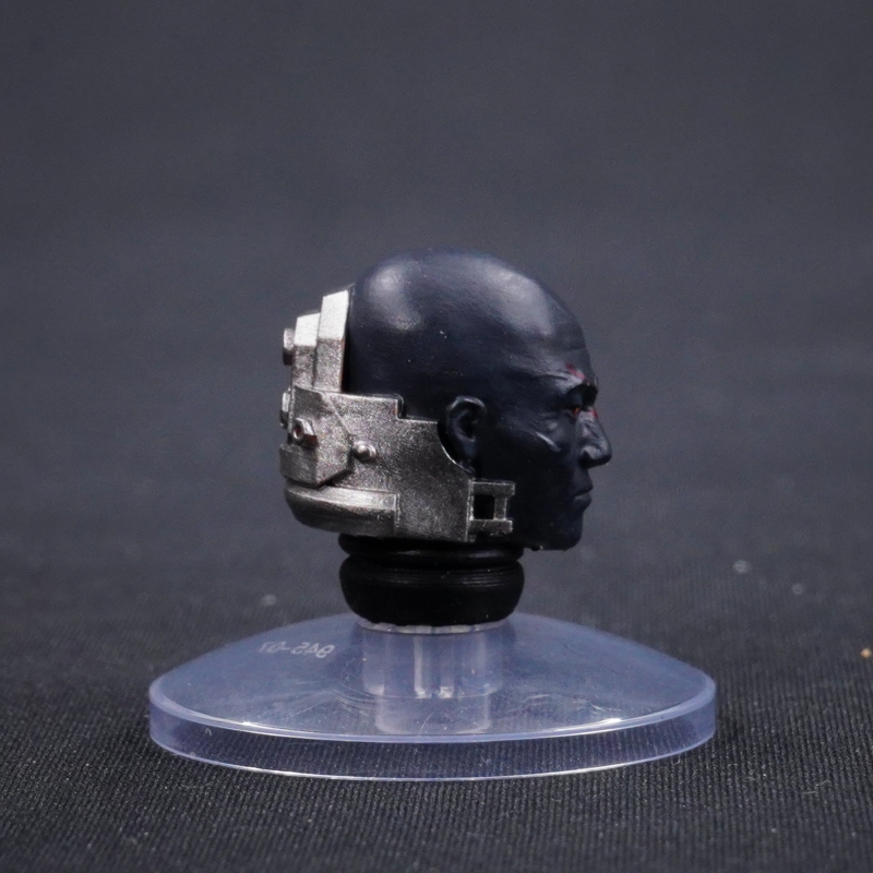CTC 4214 Head Sculpture for Salamanders Figures