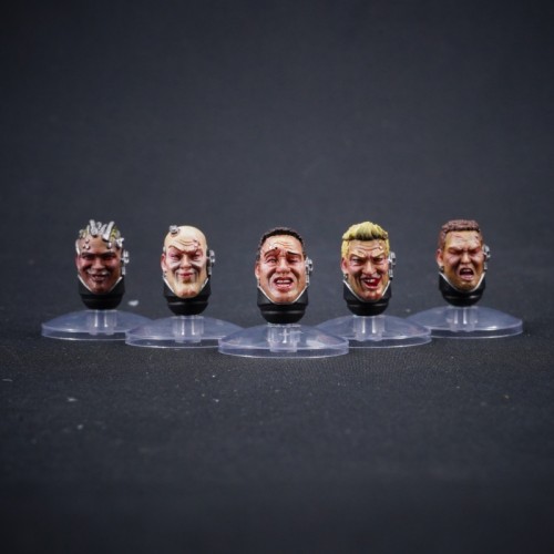 CTC 4215 Head Sculpture 5-person group