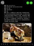 Kong Species Beast TonTon Episode 3