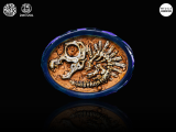 Kong Species Dino Roll Spinosaurus 2025WF Limited Edition
