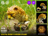 Kong Species Beast TonTon Episode 5