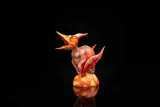 Kong Species Dino Roll Pteranodon 2025WF Limited Edition