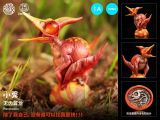 Kong Species Dino Roll Pteranodon 2025WF Limited Edition