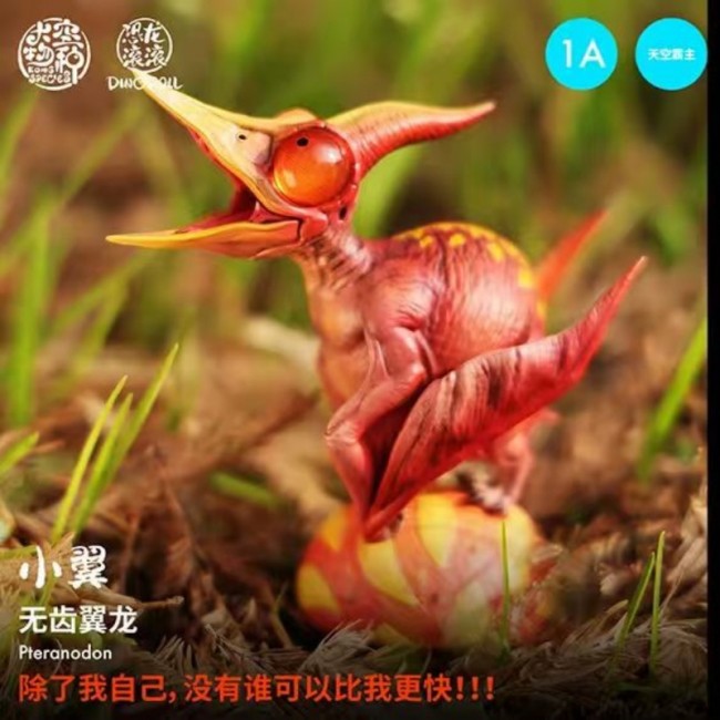 Kong Species Dino Roll Pteranodon 2025WF Limited Edition