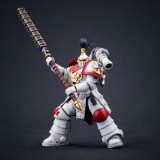 CTC 579 Long-handled mace for white scars