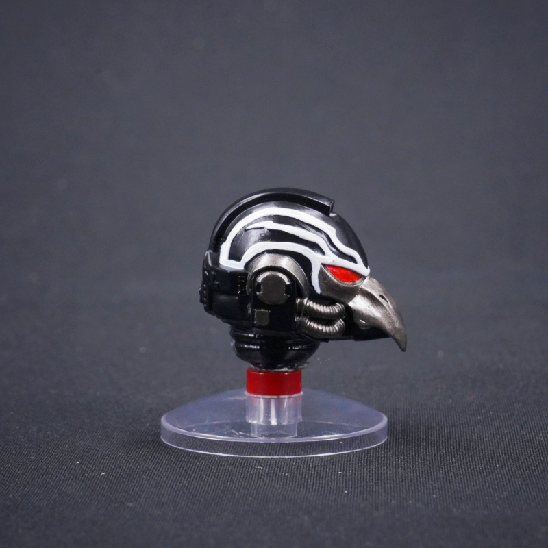 WAT 4245 Helmet for Corvus Corax