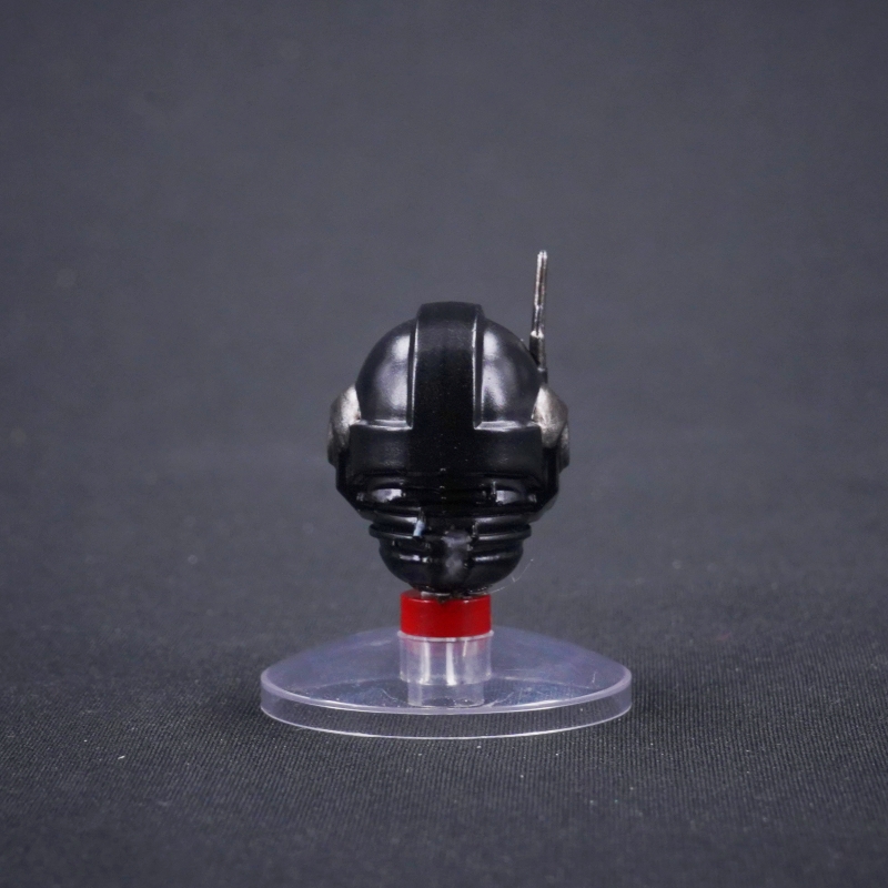 WAT 4244 Helmet for Corvus Corax