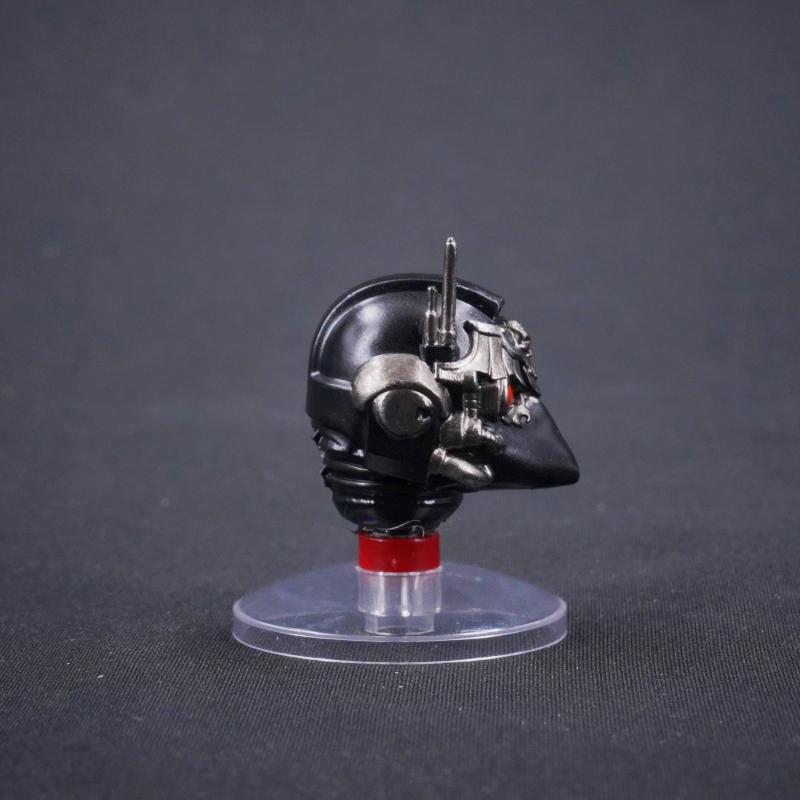 WAT 4244 Helmet for Corvus Corax
