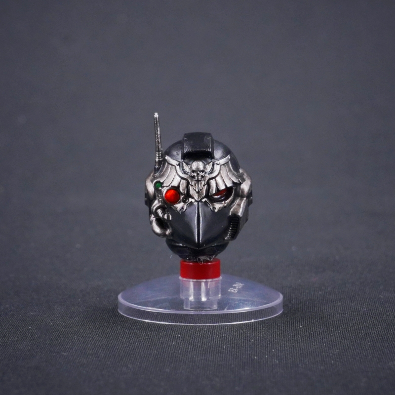 WAT 4244 Helmet for Corvus Corax