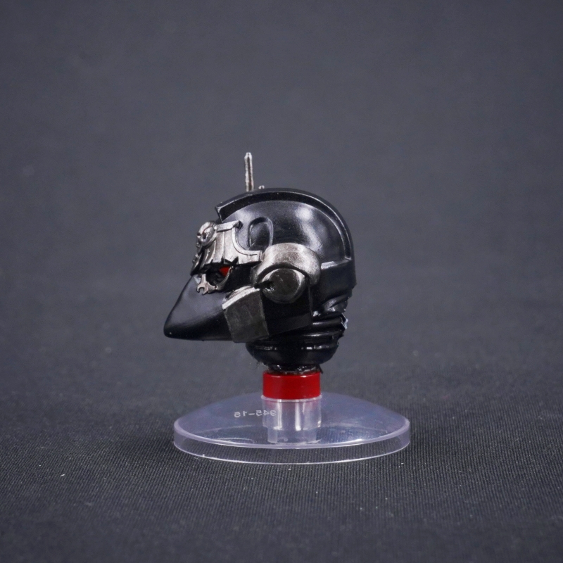 WAT 4244 Helmet for Corvus Corax