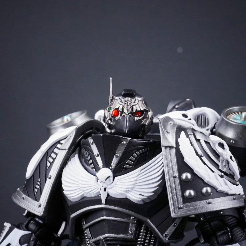 WAT 4244 Helmet for Corvus Corax